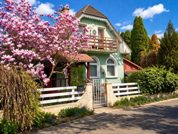 #9383 Eladó nyaraló/ lakóház Szolnokon Alcsiszigeten