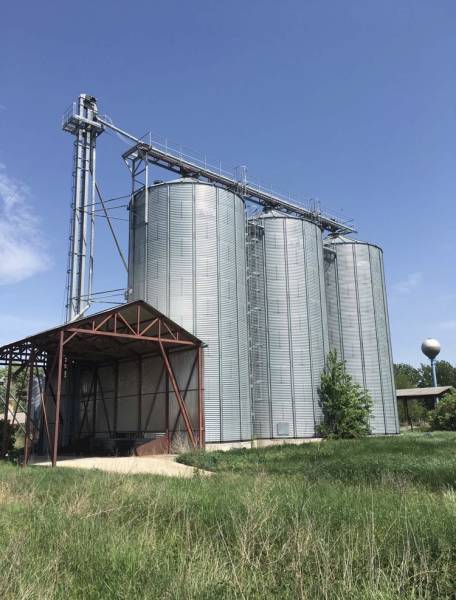 #6771 Gógánfán termény tárolására kialakított telephely eladó