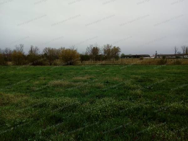 #8765  Eladó egy3 816 nm-s mezőgazdasági terület Szolnokon