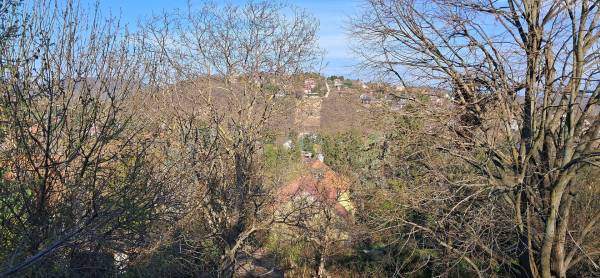 #9375 Bp. II. kerületben panorámás, 1368 m²-es építési telek közművekkel és bontandó épülettel eladó