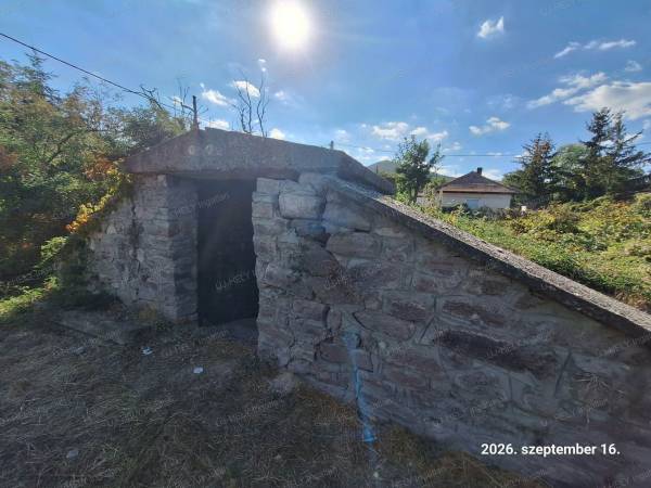 #14004 Eladó pince Sátoraljaújhelyen ,Ungvári pincesoron!