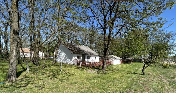 #10129 Lajosmizsén 7729 m2-es tanya, 2 szobás, 55 m2-es házzal, saját kúttal, melléképületekkel eladó!