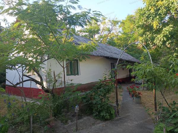 #8799 Eladó tanya Fülöpjakab