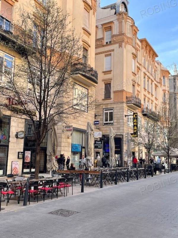 #8944 KIHAGYHATATLAN BEFEKTETÉSI LEHETŐSÉG A FERENCIEK TERÉN!