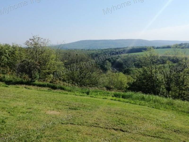 #5812 Eladó zártkert Sénye