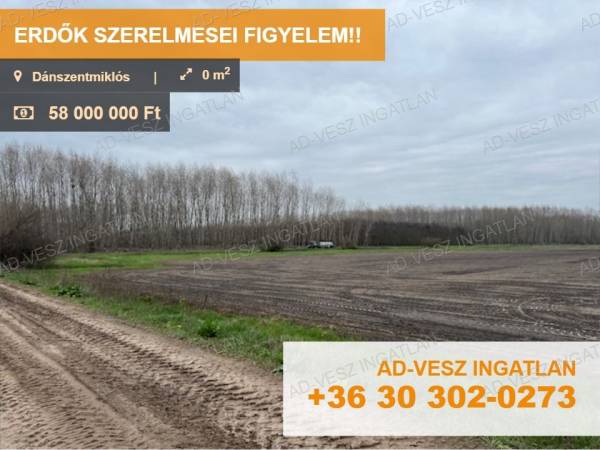 #2675 ERDŐK SZERELMESEI FIGYELEM!!