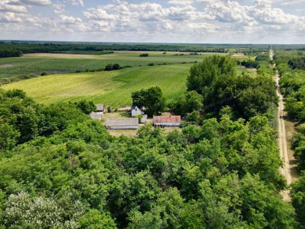 #7914 Eladó tanya Debrecen Dombos