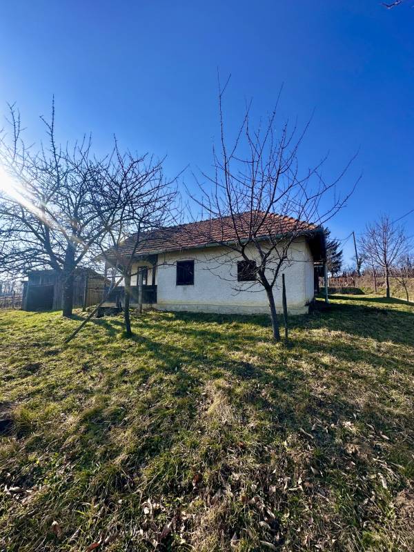 #7226 Eladó panorámás szőlőhegy Nagykapornakon – Egy csodálatos birtok a természet ölelésében!