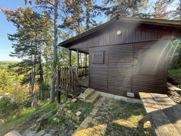 #10137 Dunaalmáson belterületi hétvégi ház, örök panorámával várja új pihenni vágyó tulajdonosát!