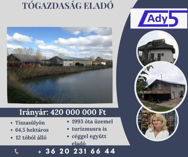 #3836 Tiszasüly külterületén működő halastó eladó