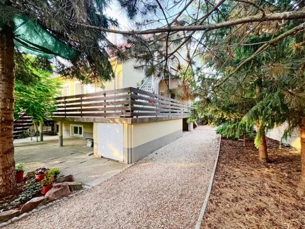 #8118 Hirdetünk ön helyett!