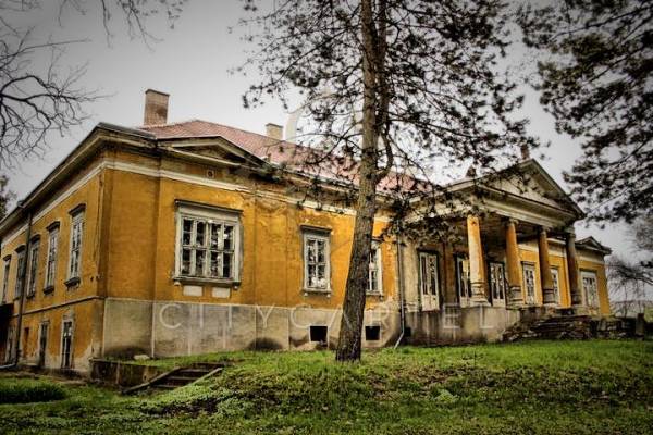#14937 Felújítandó kastély ősfás hatalmas parkban.