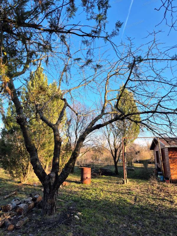 #7337 Besenyszögön üdülőövezeti telek eladó