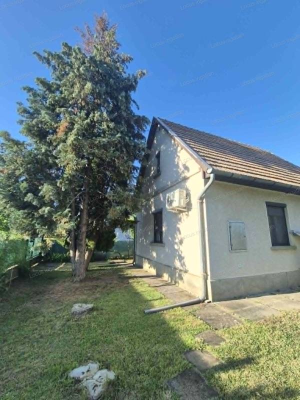 #11313 Szolnokon a Holt-Tisza közelében családi ház eladó