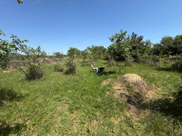 #11687 Eladó 330 m2 osztatlan közös külterület Balatonfüreden