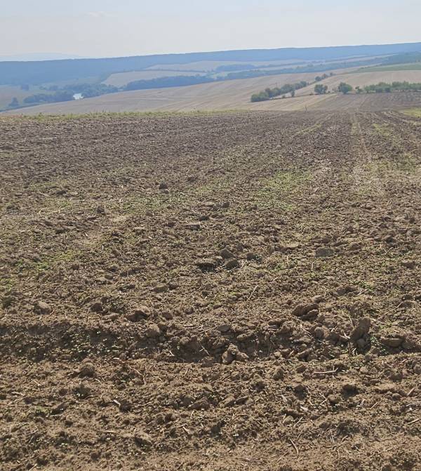 #8440 Eladó külterületi telek Szomoron!