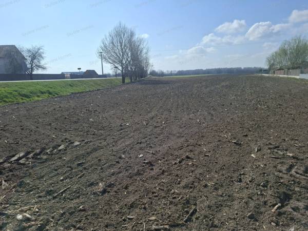 #8829 Eladó építési telkek Taksonyban