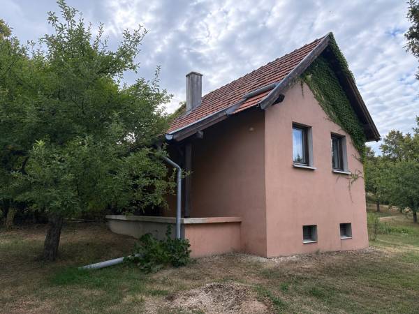 #13330 Lukácsházán hangulatos hétvégi ház és szőlőültetvény borospincével eladó!