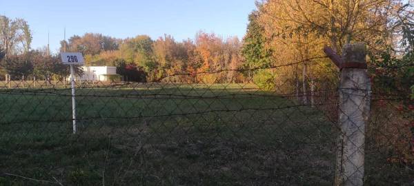 #3907 Eladó kert, gyümölcsös Szolnok