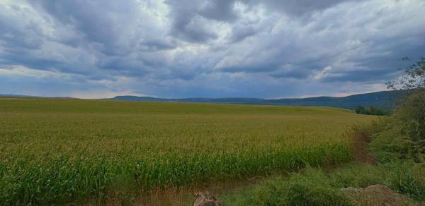 #8496 HÉREGEN ZÁRTKERT ELADÓ! ALKOSS SAJÁT OTTHONT EGY CSENDES KÖRNYÉKEN PANORÁMÁS KILÁTÁSSAL!