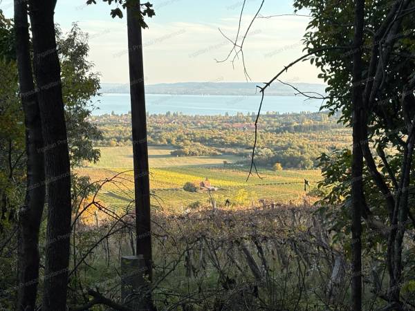 #7600 Eladó balatoni részpanorámás külterület Szentantalfán