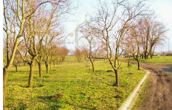 #8707 13 hektáros terület eladó az M6.autópálya mellett!