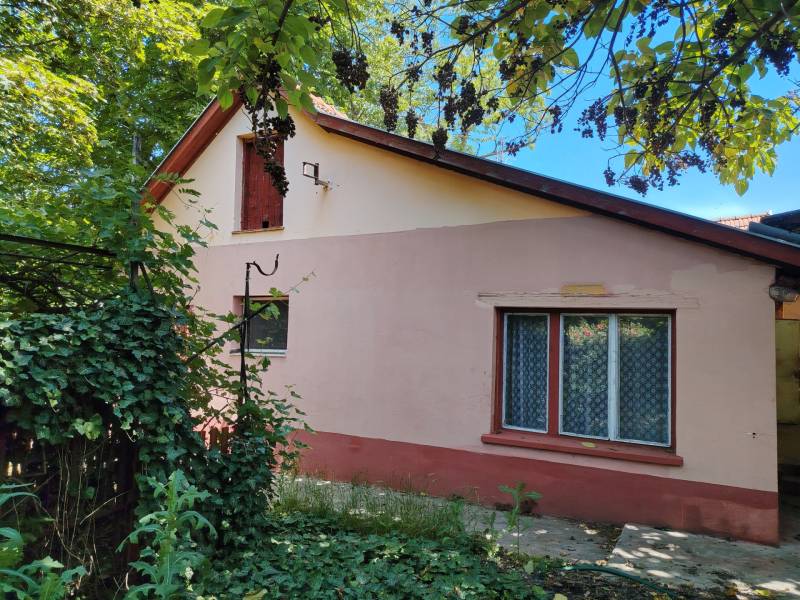 #11322 Kecskemét Műkertvárosban, zöldövezetben 2 rendbeli családi ház, üzlethelyiséggel eladó!