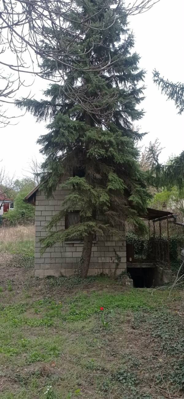 #9773 Sóskúti nyugalom lakott környezetben