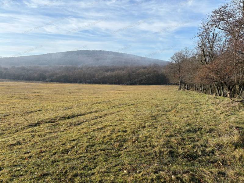 #4273 Eladó 18,5 ha szántó Monostorapáti külterületén!