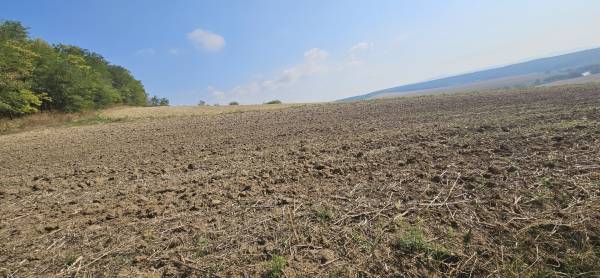 #8437 Eladó külterületi telek Szomoron!