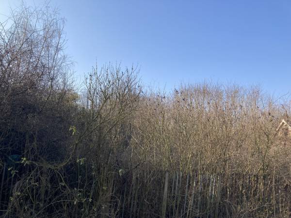 #8186 Eladó Környei zártkert