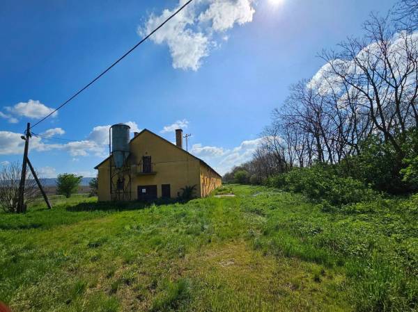 #8418 ELADÓ mezőgazdasági ingatlan!!