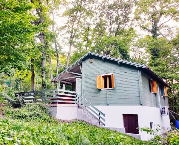 #9491 Hirdetünk ön helyett!