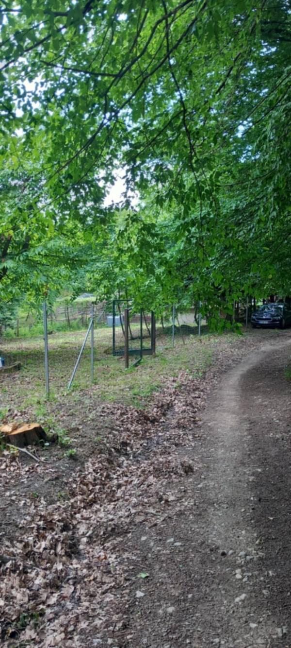 #2237 Sopron, Kutyahegy tetején ELADÓ külterületi telek – 7850 m²!