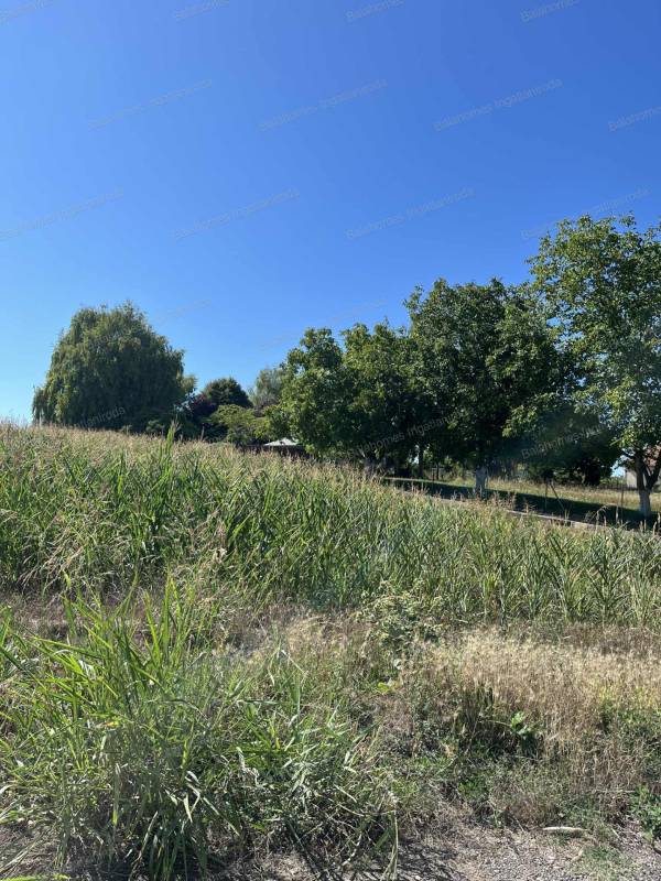 #8952 Siófok Csépány tó közelében külterületi telek (szántó) eladó