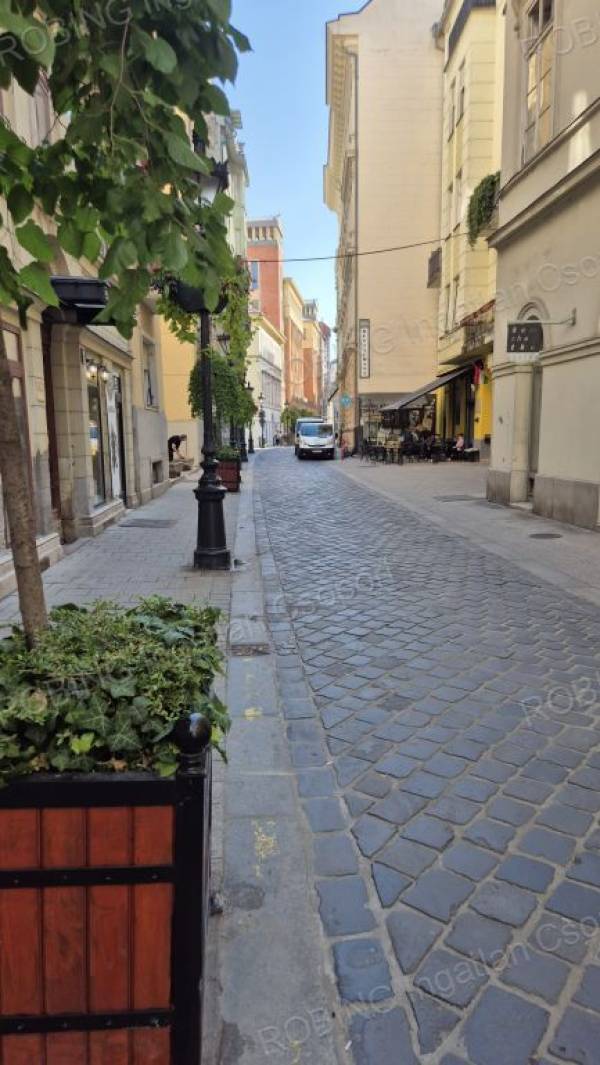 #8896 A BELVÁROS SZÍVÉBEN JÓL MŰKÖDŐ BEJÁRATOTT MASSAGE SZALON