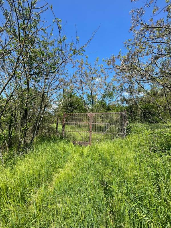 #8474 Eladó zártkert Esztergomban!