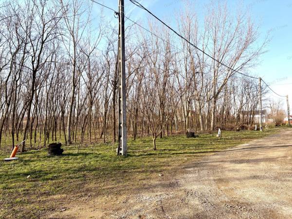 #9797 Befektetési Lehetőség Újfehértón