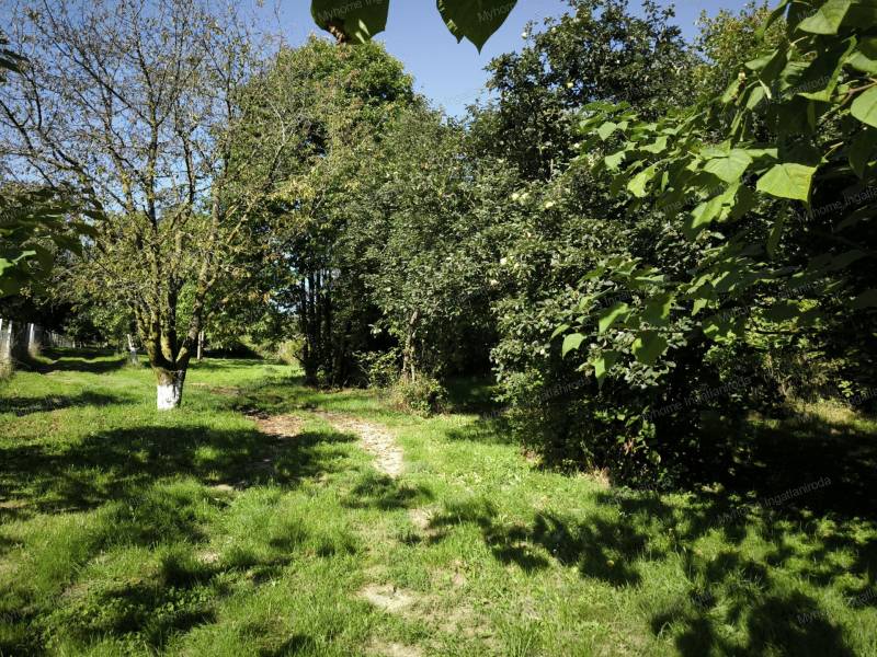 #5802 Eladó zártkert Alsópáhok