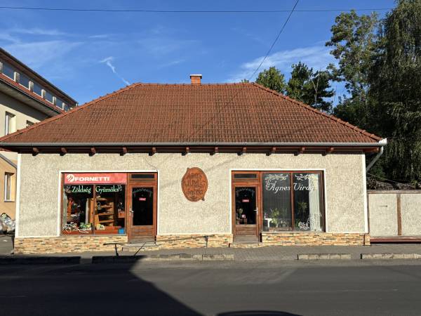 #8838 Nagykátán üzleti ingatlan eladó