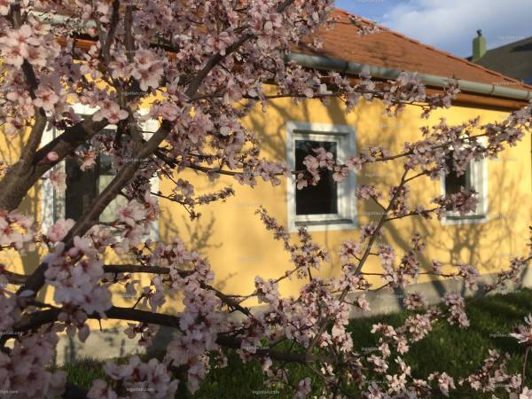 #4321 Tulajdonostól eladó Siófok belváros, csendes, zöldövezeti részén egy tégla építésű, teraszos családi ház