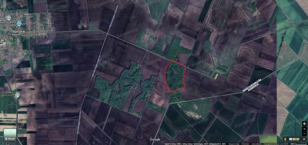 #3504 Eladó 11,3 hektár vegyes fafajtájú, véghasználatos erdő!