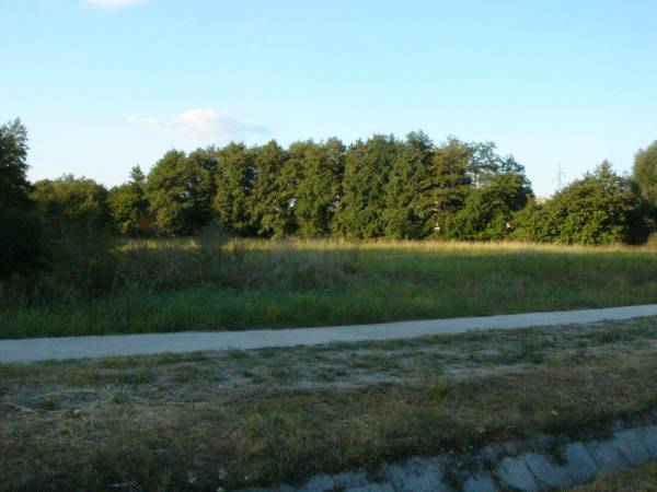 #8456 Oroszlányban Ipari terület Eladó!