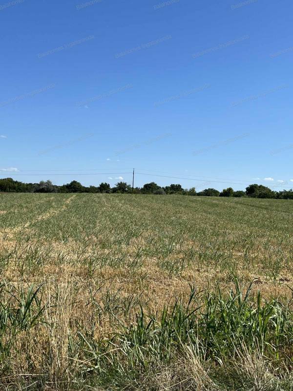 #8951 Siófoki külterületi telek eladó a Csépány- tó közelében