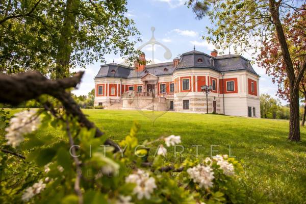 #9652 Gyönyörű kastély hatalmas birtokkal