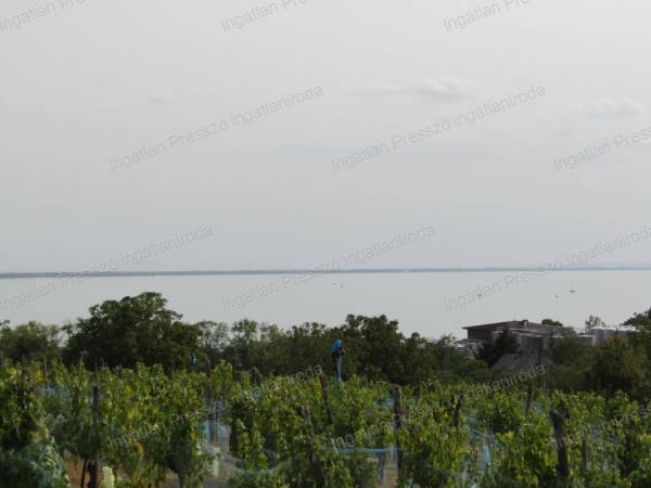 #14644 Balatoni panorámás 1570 m2-es zártkert eladó Badacsonyörsön!