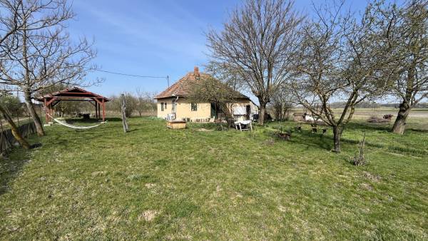 #9250 Eladó tanya Nyíregyháza