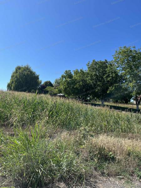 #3363 Siófok Csépány tó közelében külterületi telek (szántó) eladó