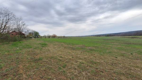 #9530 Eladó szántó Gödöllő