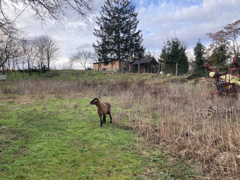 #6865 Eladó Építési telek Kocs